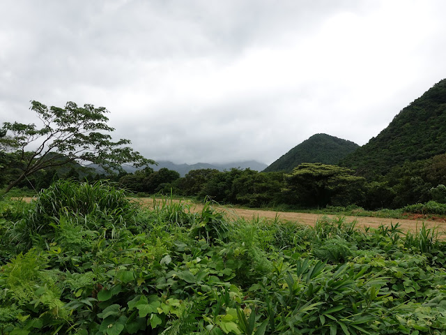 鳥取県道305号線大山佐摩線