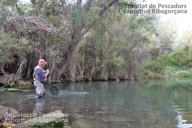 Pescando rincones de Alfarràs