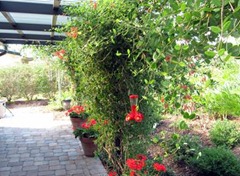 clip_image010