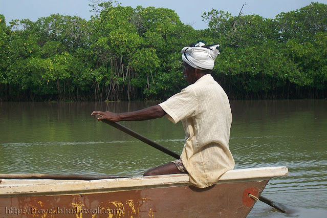 Pichavaram Mangrove Boating