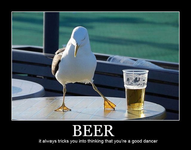 Beer - It Always Tricks You Into Thinking That You're A Good  Dancer