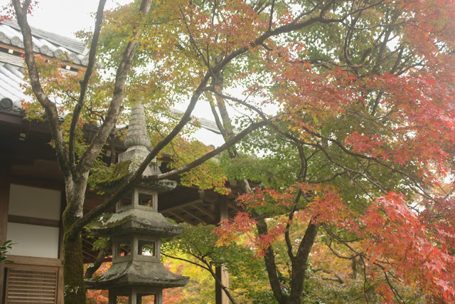 常寂光寺的石燈籠