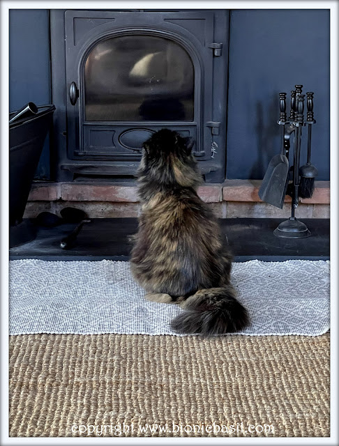 The BBHQ Midweek News Round-Up ©BionicBasil® Pandora's Wondering Why There's No Warms From The Woodburner