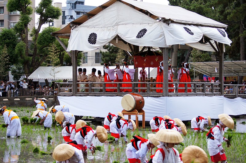 Festival Paling Unik Di Jepang