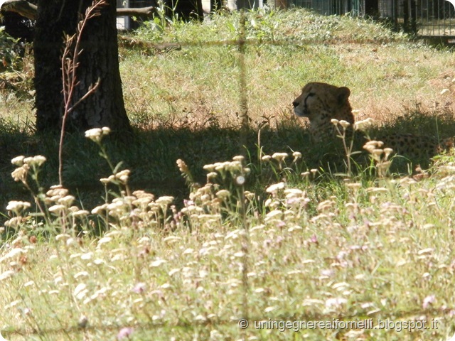 P8050518