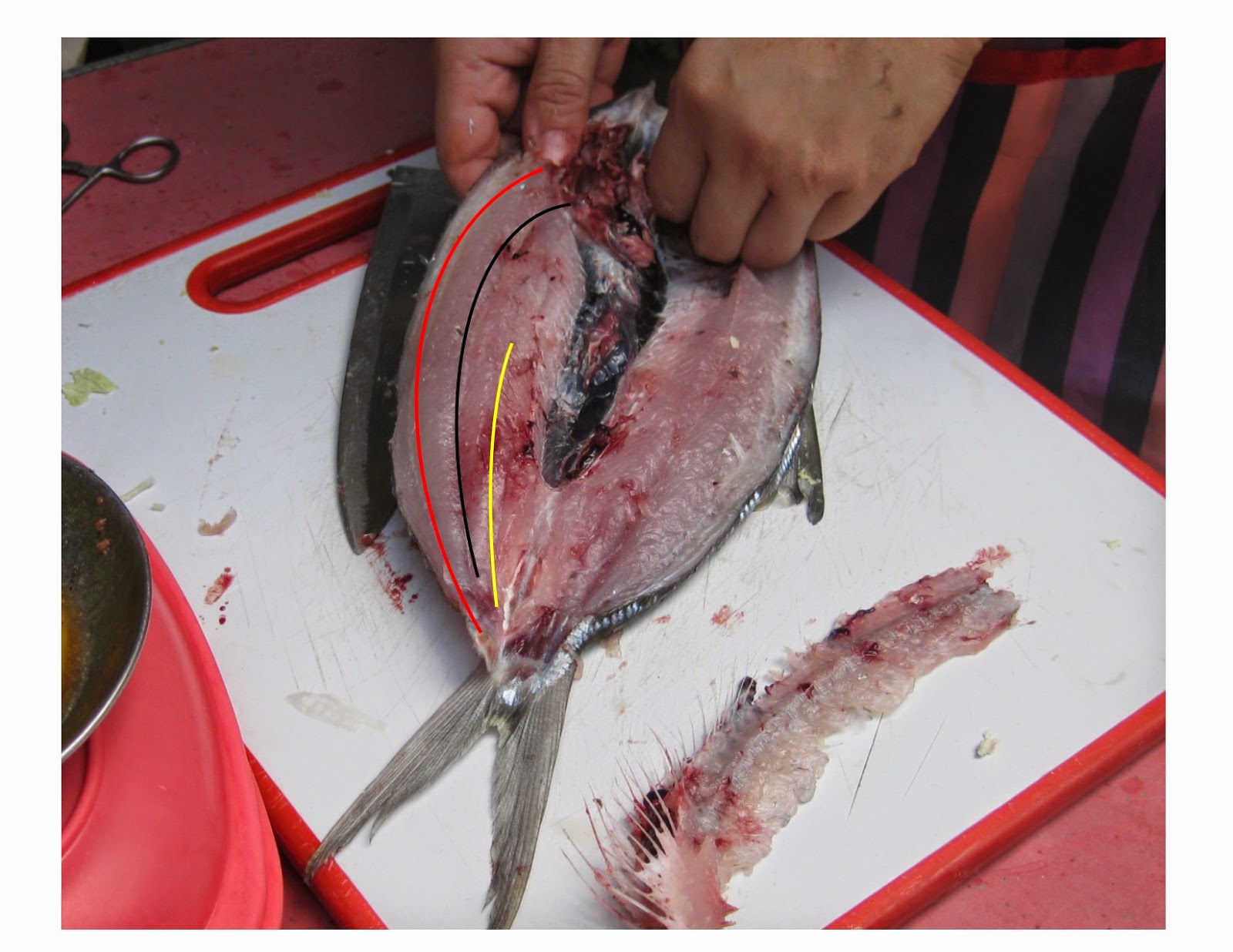 Kusina Diary: How to debone a milkfish (bangus)?