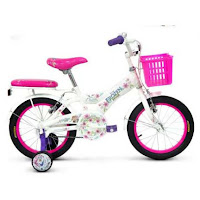 Sepeda Anak Wimcycle Frozen AF CTB 16 Inci-Lisensi