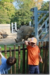 campingzoo 066