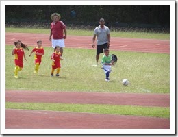 JDSC-FB36
