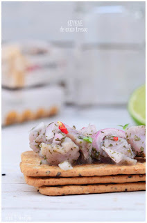 Ceviche. Ceviche de atún fresco. Como hacer Ceviche en 3 pasos.