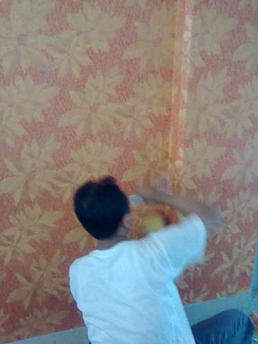 jual wallpaper  dinding  di solo sragen karanganyar solo 