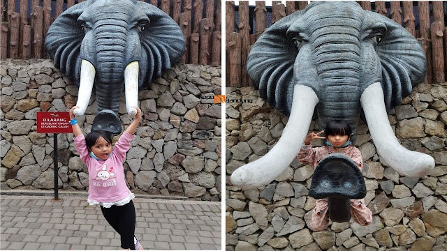 Lembang Park and Zoo Review