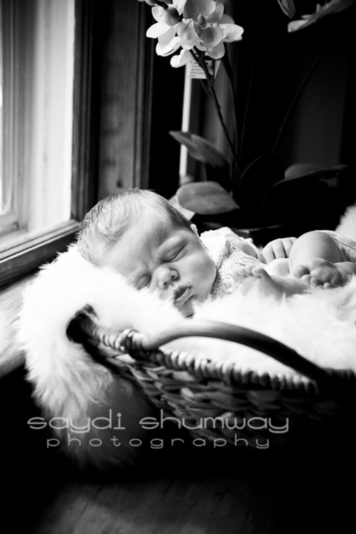 baby evelyn-9354