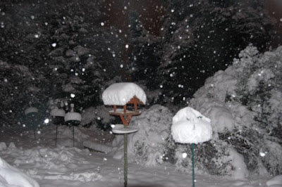 Night snow