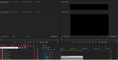 Effect Panel Area, adobe premiere indonesia