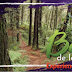 Bosques de la Clara Caldas- Experiencia de avistamiento de biodiversidad