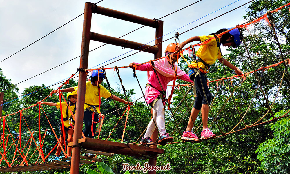 Mengenal Dunia Ternak Di D Kandang Amazing Farm Wisata Pulau Jawa