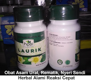 Obat asam urat rematik nyeri sendi LAURIK HPAI asli organik herbal tradisional
