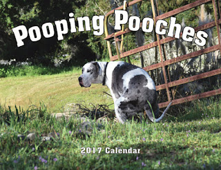 2017 Pooping Pooches White Elephant Gag Gift Calendar Calendar – Wall Calendar