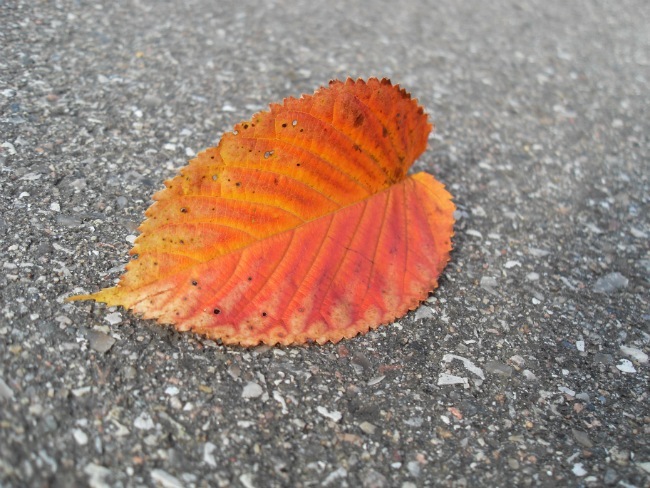 Oktober 2012