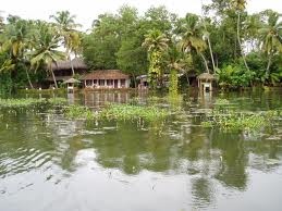RAJESH BLOG