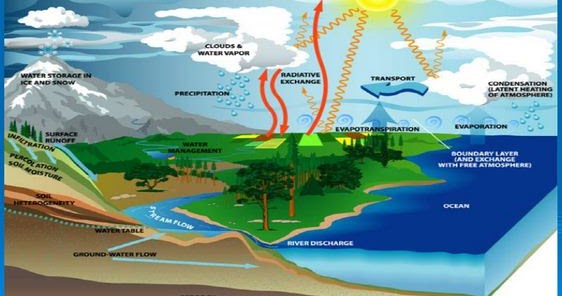 Pengertian Siklus Hidrologi beserta Contoh Gambarnya 