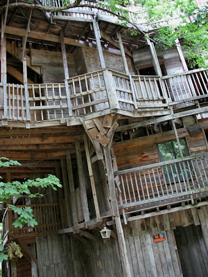 The World's Biggest Treehouse (14) 9