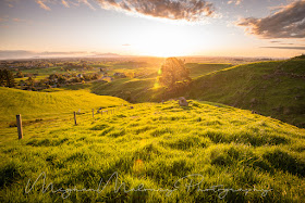 Sunflare and grassy hills Waikato sunset