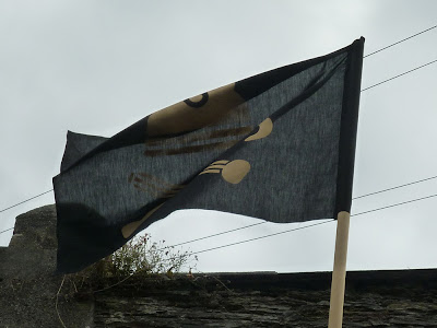 dalek pirate party flags