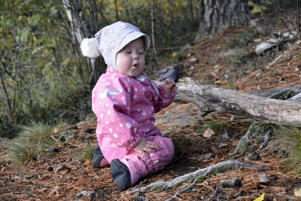 torevannet jomfruøya