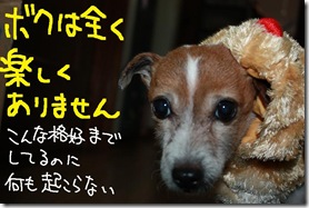 今日カズ１０１２２５　１