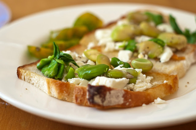 broad bean bruschetta