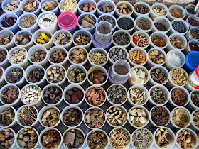 array of spices and herbs