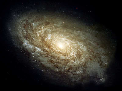 The Spiral Galaxy 