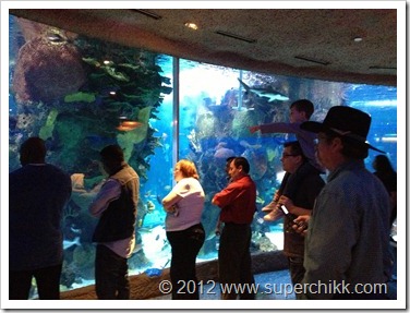 Aquarium2