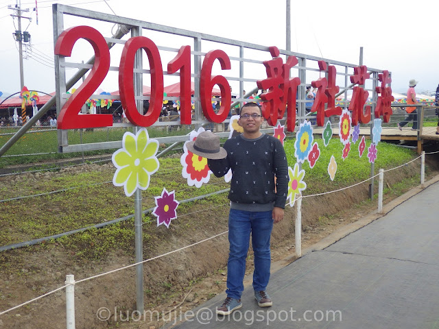 Xinshe Sea of Flowers