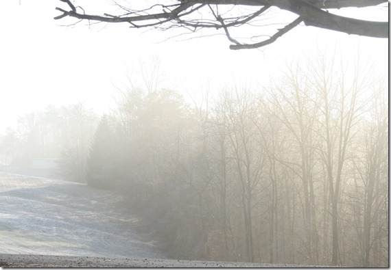 Frosty_Morn