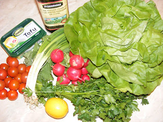 retete salate preparate din salata verde rosii ridichii patrunjel si branza tofu, 
