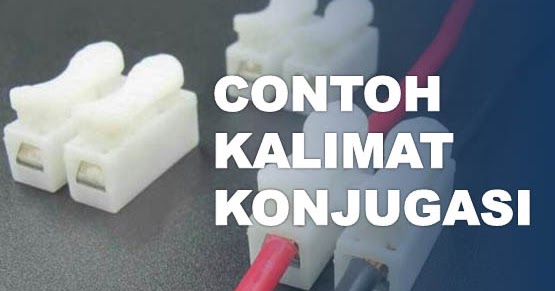 50+ Contoh Kalimat Konjungsi, Kata, dan Jenis-jenisnya 