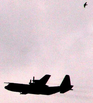 Hercules and Swift over Port Meadow