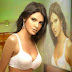 Sherlyn Chopra Most Stunning Photos of 2013