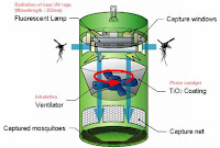 Black Hole Mosquito Trap4