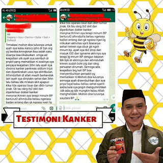 testimoni british propolis mengobati kanker, kayu bajakah kalimantan asli