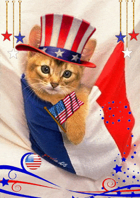 Happy Fourth Of July Gifs Free Download For Facebook