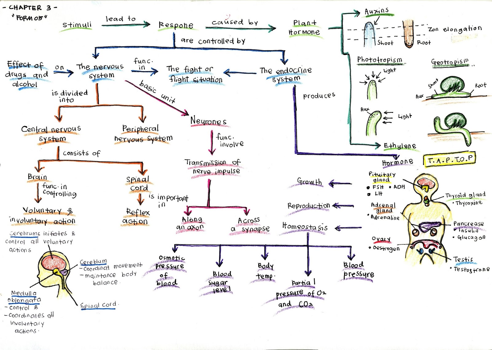 Biologi A++