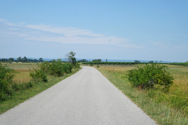 autriche burgenland lac neusiedl neusiedlersee podersdorf vélo circuit b20