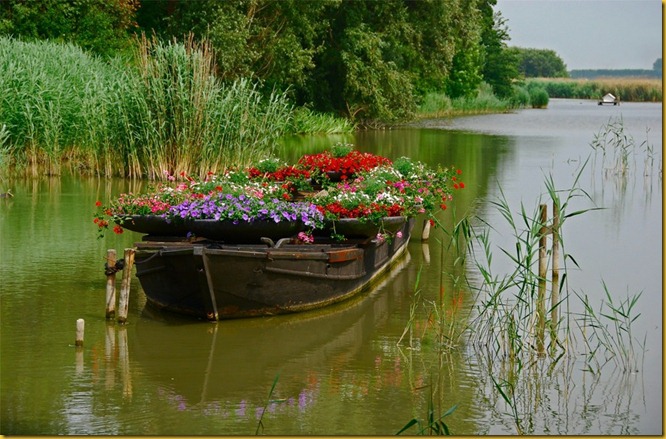 flower boat