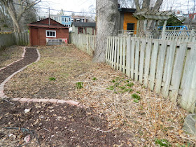 Davisville Mount Pleasant East Spring Backyard Garden Cleanup Before by Paul Jung Gardening Services a Toronto Gardening Company