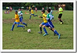 DSC_4020 (800x531)