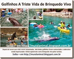 Golfinhos A Triste Vida de Brinquedo Vivo_thumb[1]